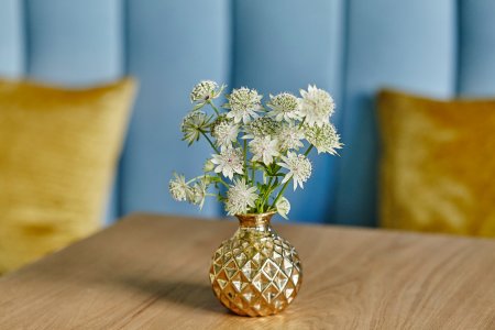 Kawiarnia Sea and Salt